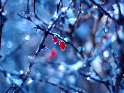 38911 (a): :1600x1200